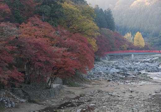 201311200745-DSC03307.jpg