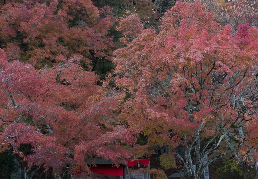 201311200747-DSC03308.jpg