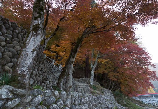 201311200749-DSC03311.jpg