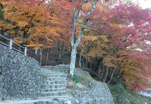 20131120075011-SO-01F.jpg