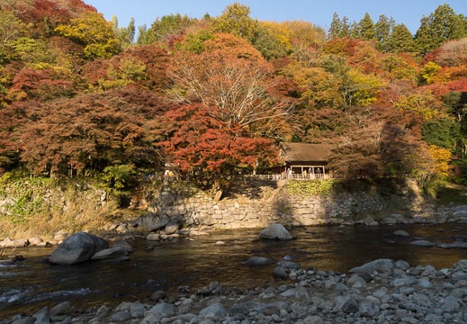 201311200811-DSC03350.jpg