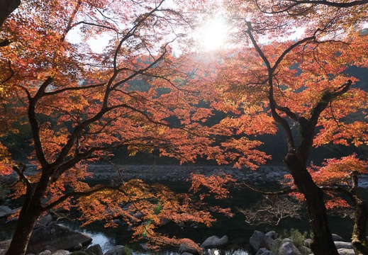 201311200852-DSC07787N.jpg