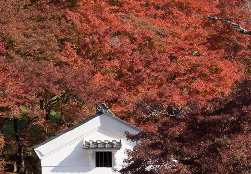 201311200946-DSC03444.jpg