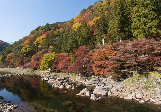 201311201004-DSC07851N.jpg