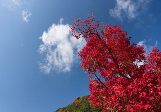 11.20 香嵐渓