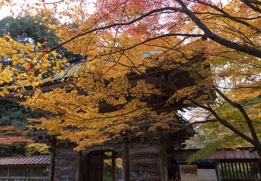 201311220658-DSC03756.jpg