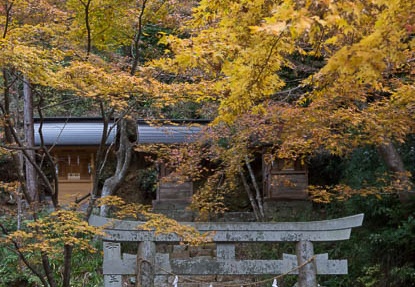 201311220720-DSC03807.jpg