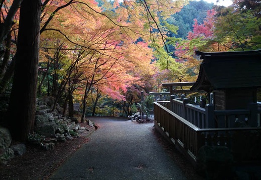 20131122072802-SO-01F.jpg