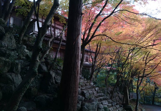 20131122072836-SO-01F.jpg