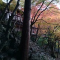 20131122072836-SO-01F.jpg