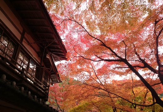 11.22 大矢田神社