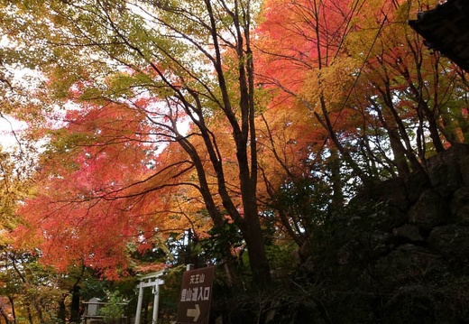 20131122080505-SO-01F.jpg