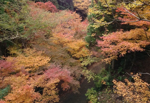 20131122081226-SO-01F.jpg