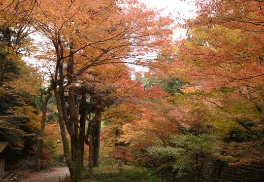 20131122082312-SO-01F.jpg