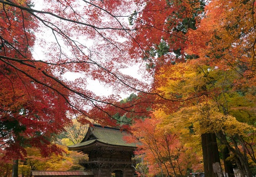 201311220837-DSC08144N.jpg