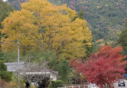 201311220909-DSC03964.jpg