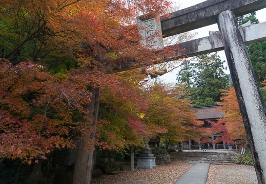 201311220924-DSC08186N.jpg