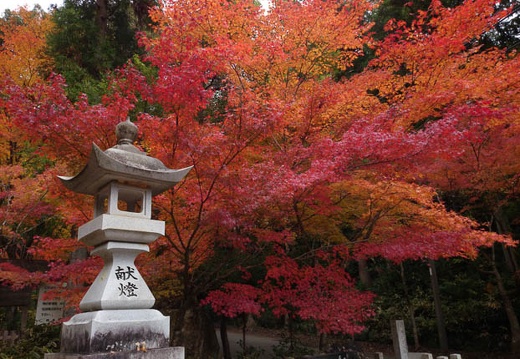 20131122092618-SO-01F.jpg
