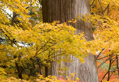 201311220929-DSC03990.jpg