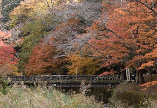 201311221134-DSC04002.jpg