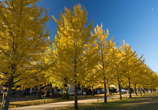 201311230747-DSC04308.jpg