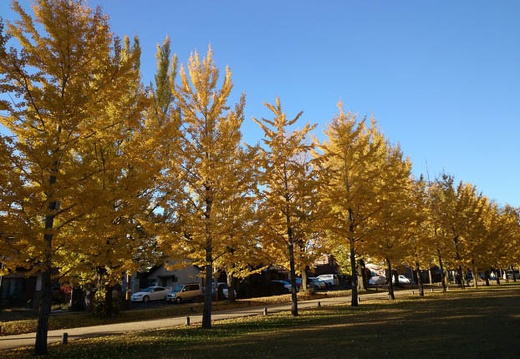 20131123074824-SO-01F.jpg