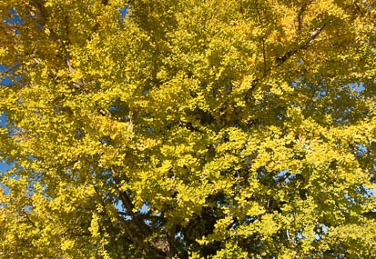 201311230837-DSC08455N.jpg