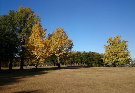 20131123084412-SO-01F.jpg