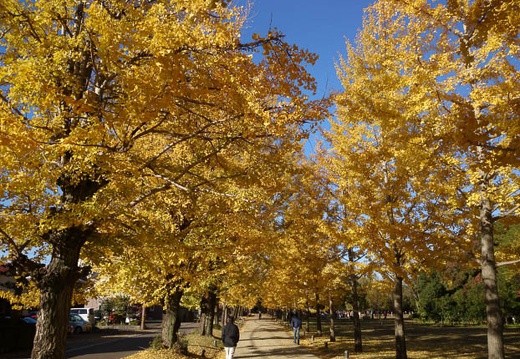 20131123084940-SO-01F.jpg