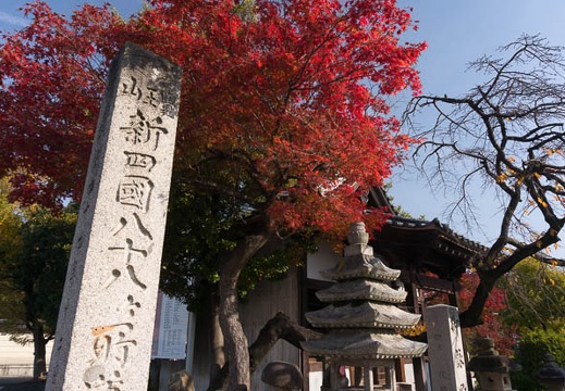 201311240944-DSC08630N.jpg