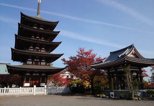 20131124094905-SO-01F.jpg