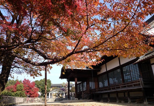 20131124101452-SO-01F.jpg