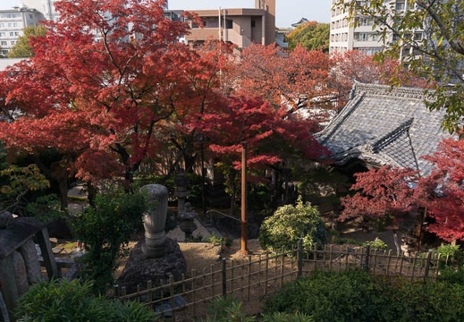 201311241016-DSC08713N.jpg
