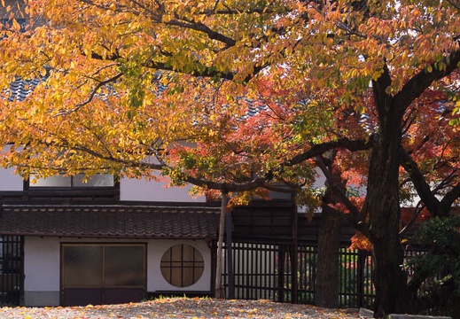 201311241017-DSC04898.jpg