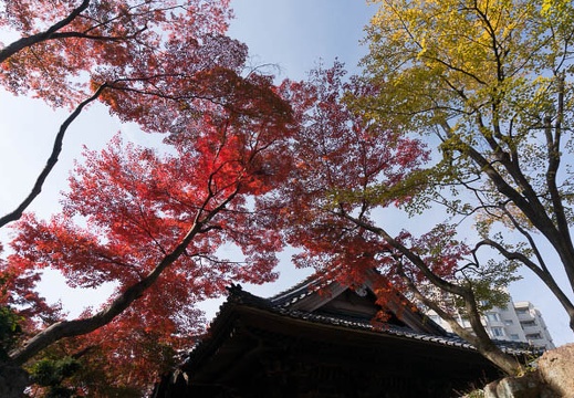 201311241021-DSC08726N.jpg