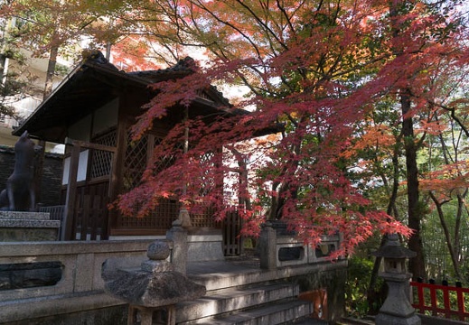201311241042-DSC08755N.jpg
