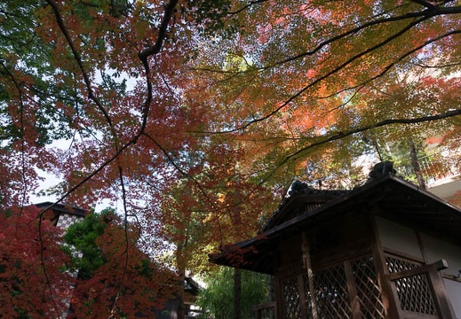 201311241042-DSC08759N.jpg