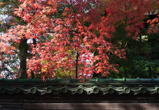 201311241043-DSC08764N.jpg