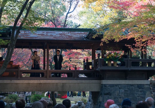 201311241054-DSC08801N.jpg