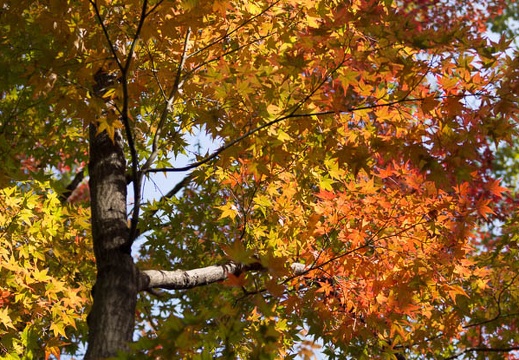 201311241102-DSC04916.jpg