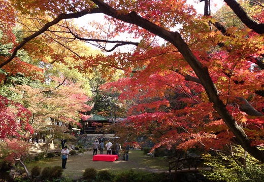 20131124110459-SO-01F.jpg