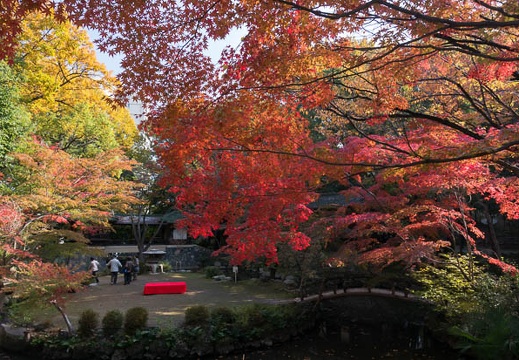 201311241105-DSC08831N.jpg