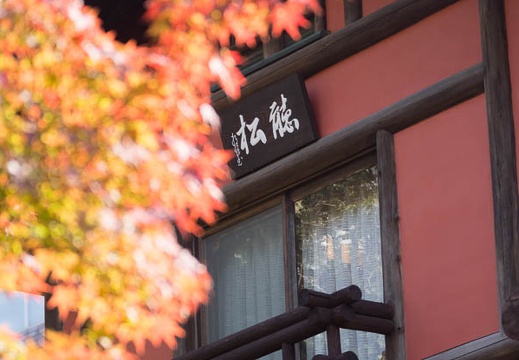 201311241113-DSC04922.jpg