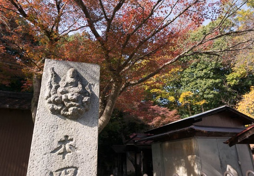 201311241126-DSC08853N.jpg