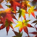 201311241433-DSC05010.jpg