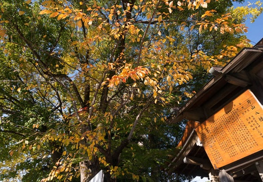201311270938-DSC09069N.jpg