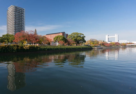 201311271041-DSC09109N.jpg