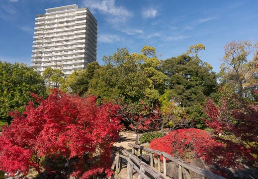 201311271106-DSC09169N.jpg