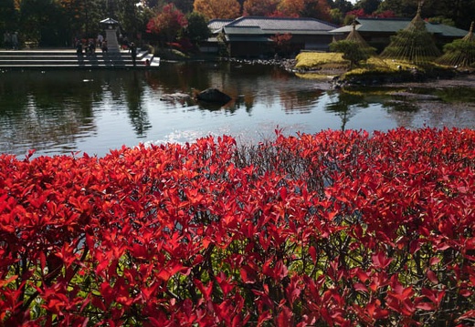 20131127111011-SO-01F.jpg