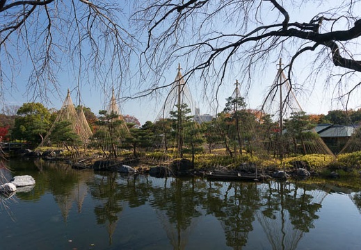 201311271125-DSC09206N.jpg